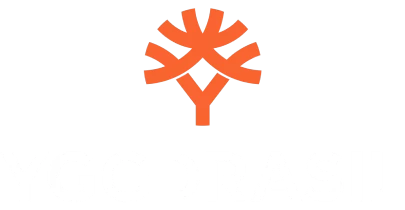 partners who work with Golden Tiger